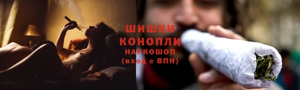 спайс Гусь-Хрустальный