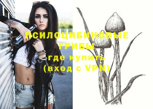 спайс Гусь-Хрустальный