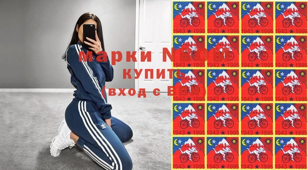 спайс Гусь-Хрустальный
