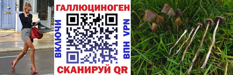 Купить где  Оленегорск  Псилоцибиновые грибы Magic Shrooms 